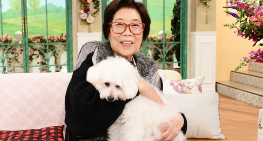 倒下時沒人在！野村昭子「獨居中暑」享耆壽95歲 　圈內友人哀慟：想說聲對不起